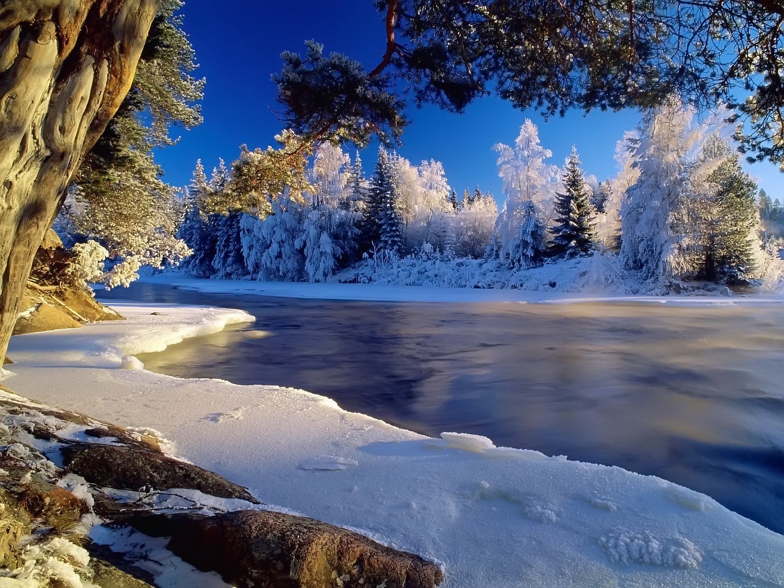Icy river Wallpaper Winter Nature Wallpapers in jpg format for 