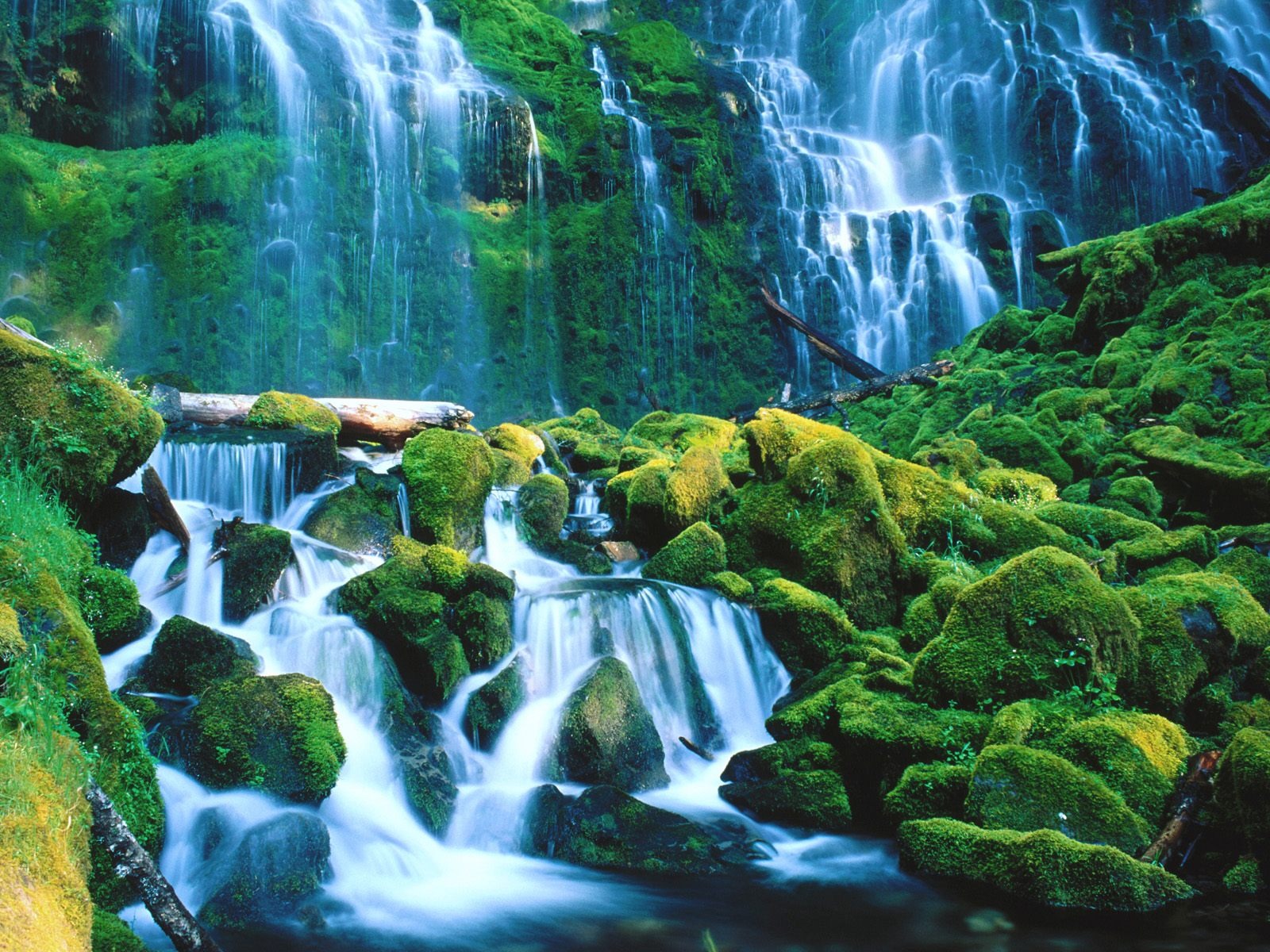 Proxy Falls Wallpaper Waterfalls Nature Wallpapers in jpg format for 