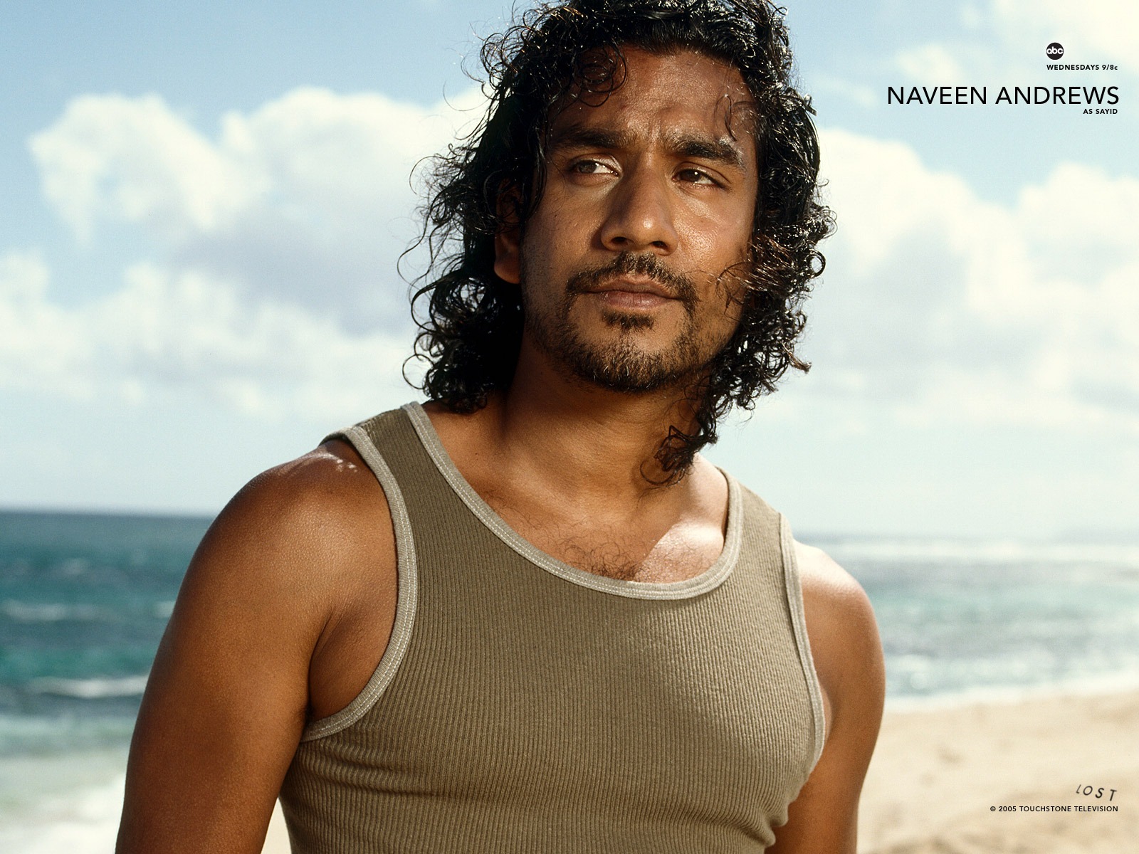 Naveen Andrews - Lost  Lost tv show, Most beautiful man, Handsome actors