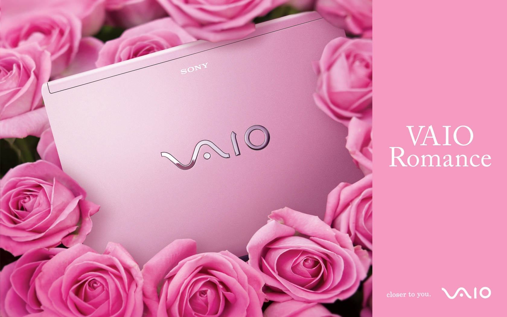 Sony Vaio Romance Wallpapers In Jpg Format For Free Download