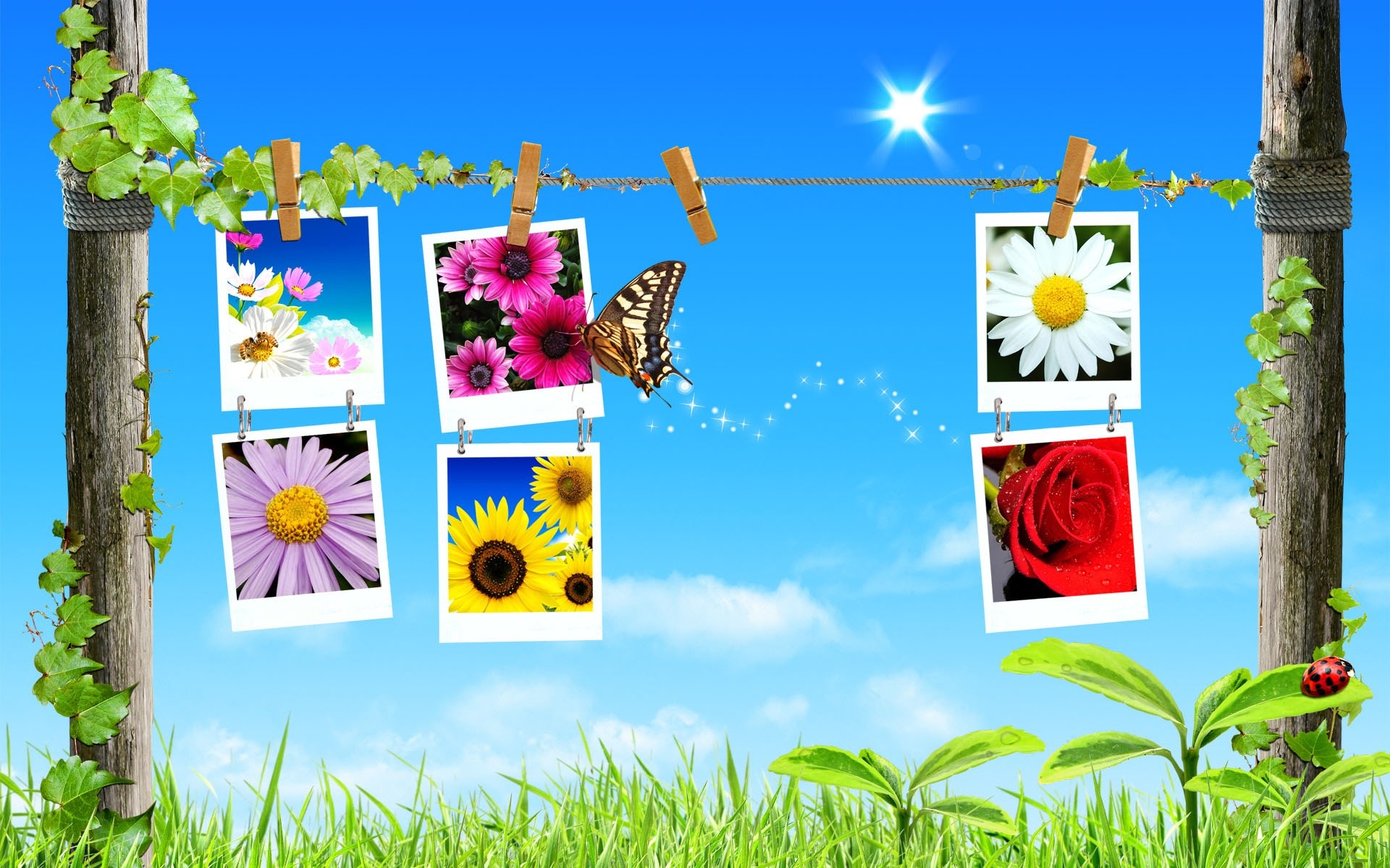 Spring Collage Wallpaper Spring Nature Wallpapers In Jpg Format
