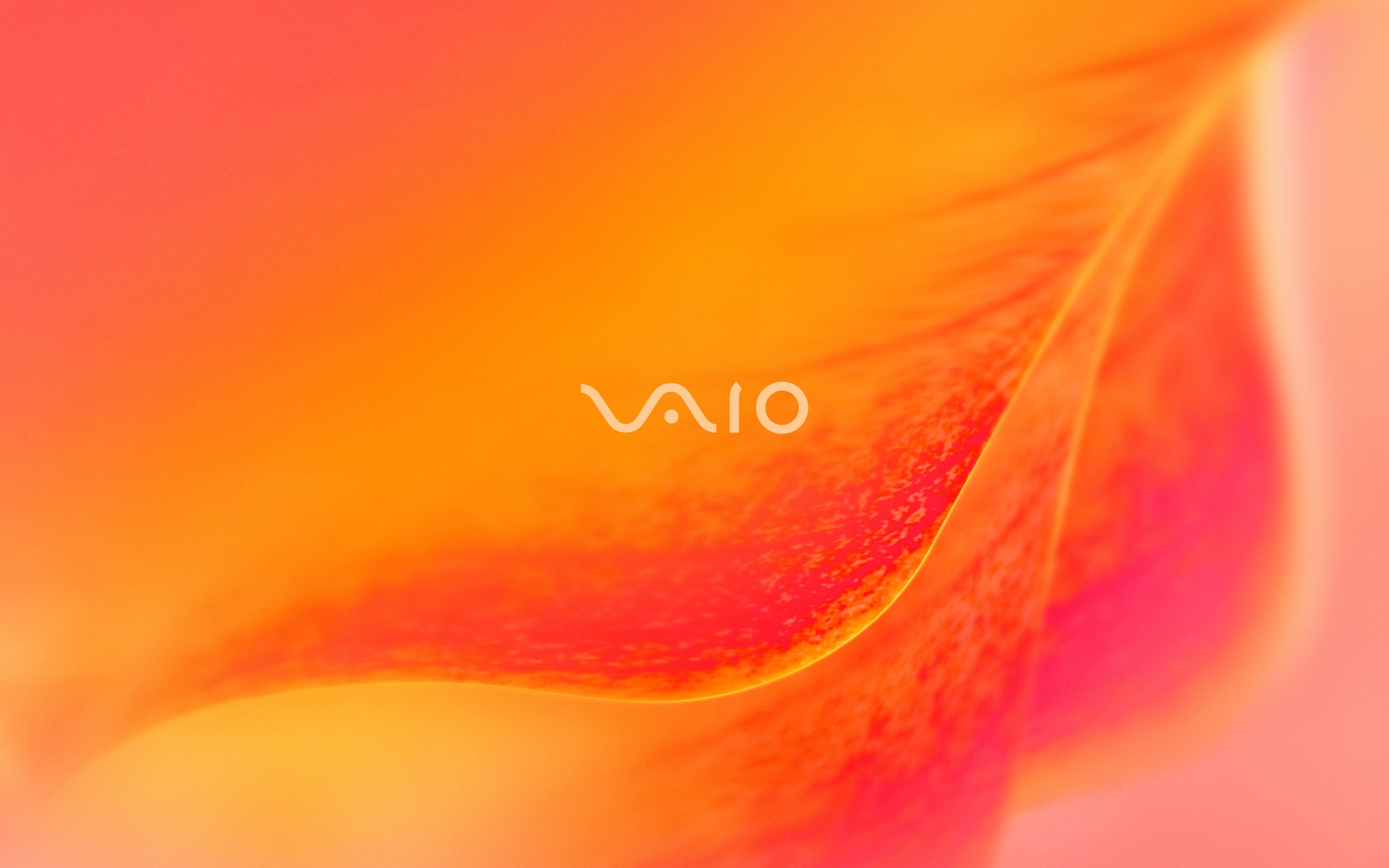 Vaio Orange Wallpaper Sony Vaio Computers Wallpapers In Jpg Format For Free Download