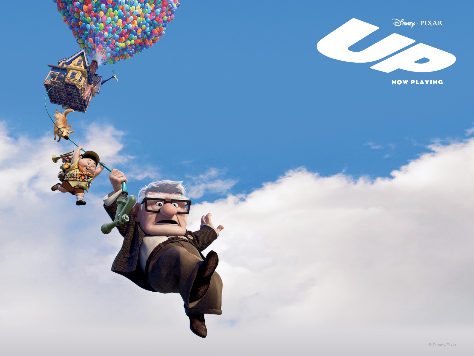 Pixar S Up 2009 Movie Official Wallpapers In Jpg Format For Free Download