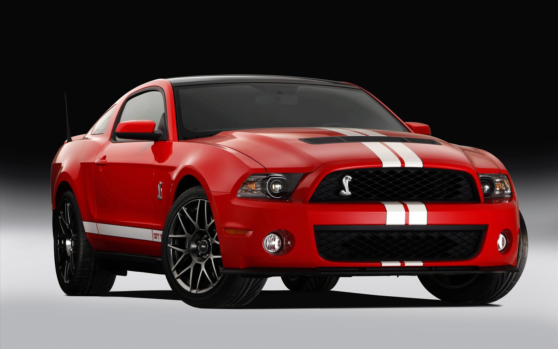 2011 Ford Shelby Gt500 4 Wallpapers In Jpg Format For Free Download