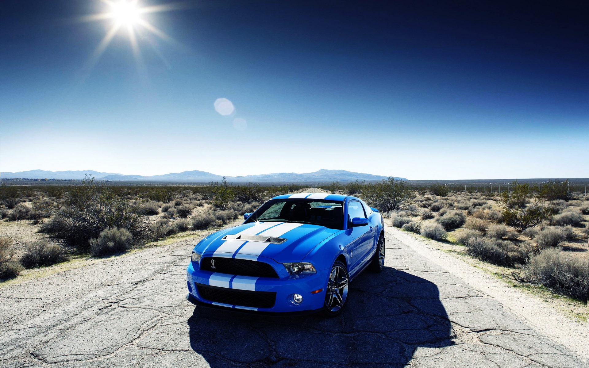 Ford Shelby Gt500 Car Wallpapers In Jpg Format For Free Download