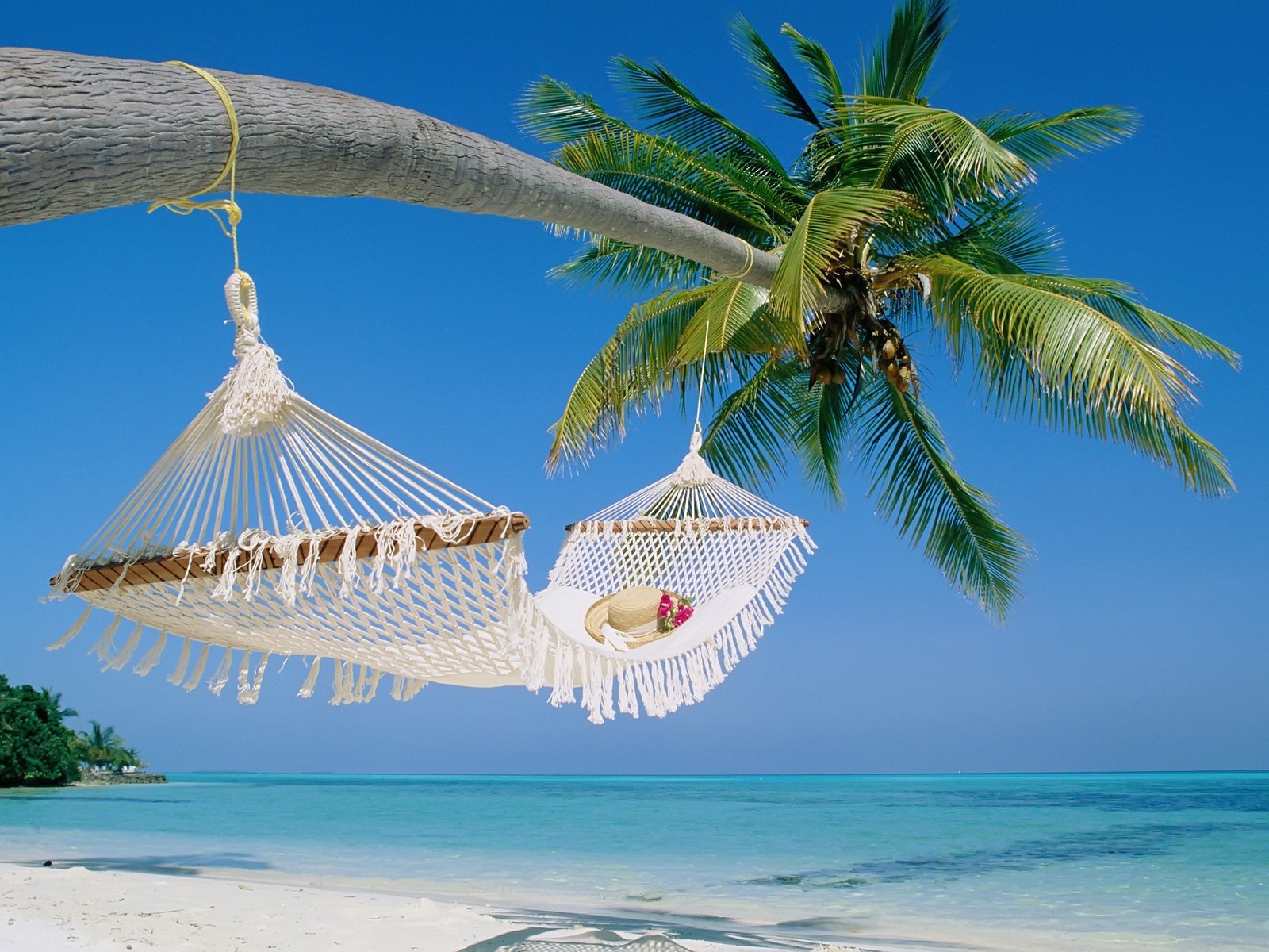 Hammock Wallpaper Beaches Nature Wallpapers in jpg format for free download